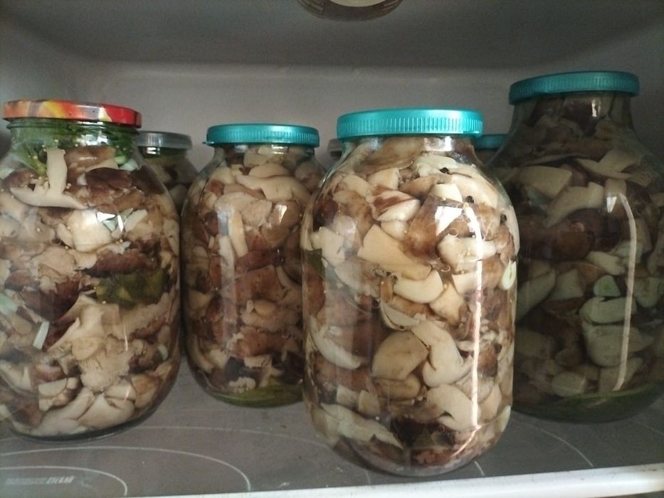 Продам Валуи соленые