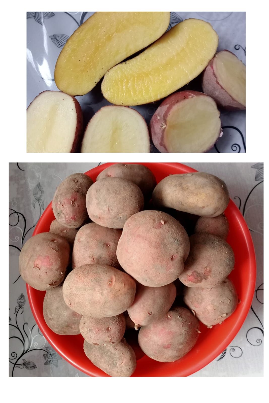 Продам рассаду клубники. Картошку едовую и семенную.