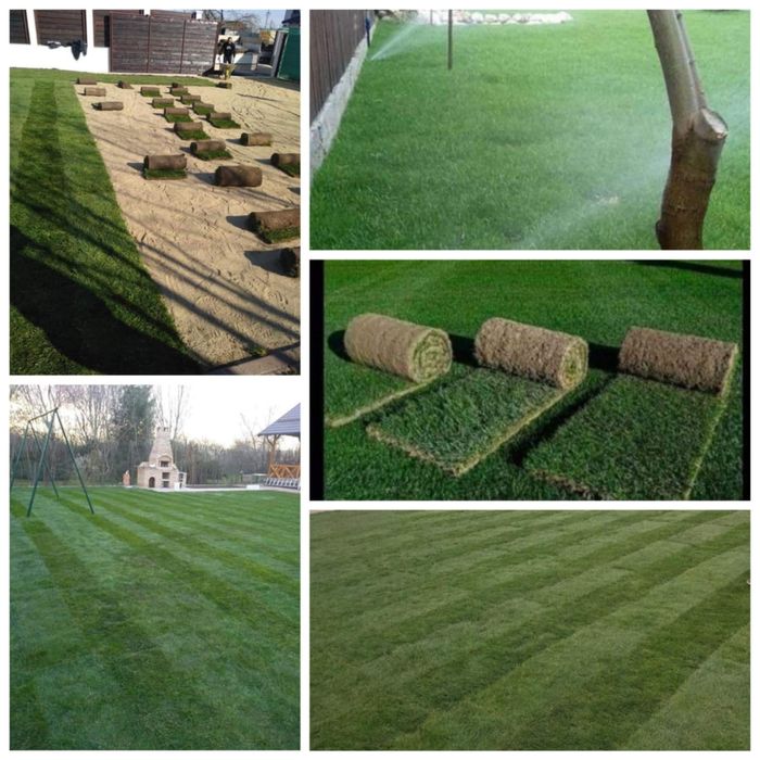 Rulouri de gazon natural și sistem de irigare