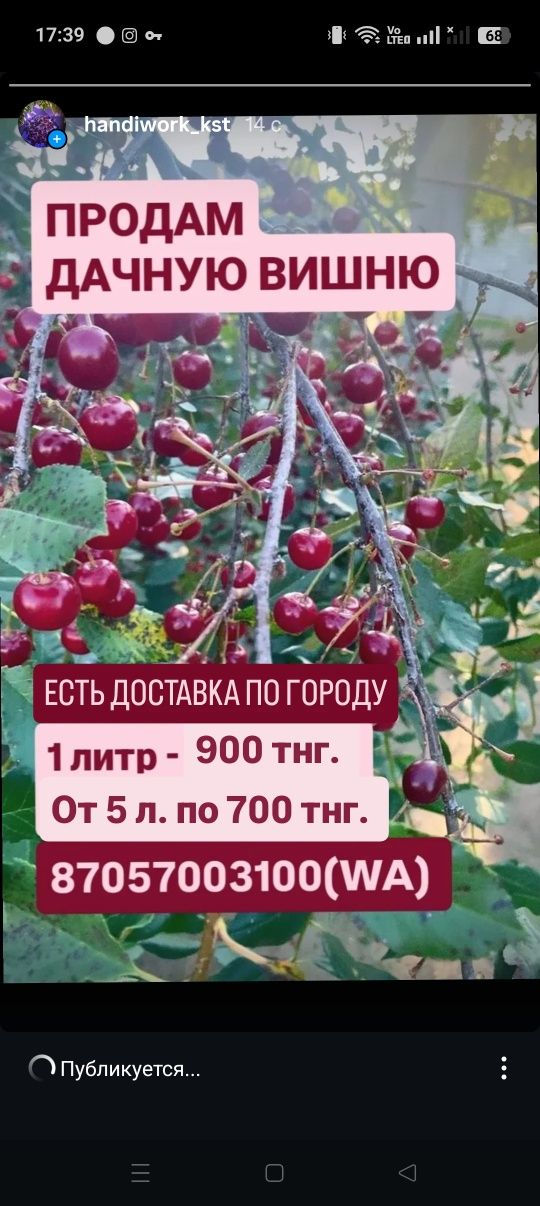 Продам дачную вишню