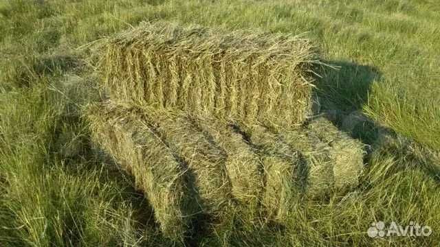 Продам сено в тюках