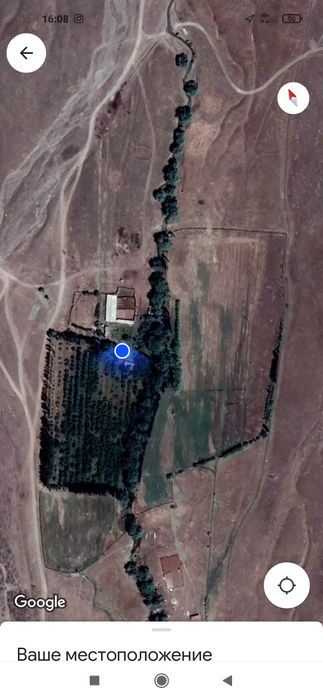 Фазенда,Баз,Сад сатылады