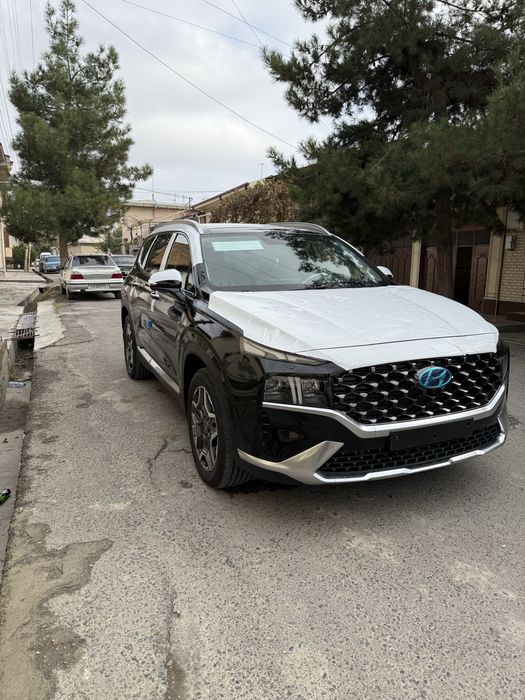 Hyundai Santafe 2.5Full