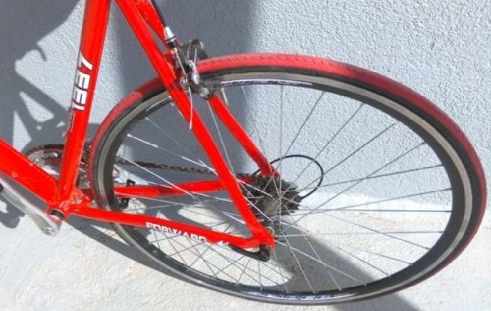 Toza germanskiy gonchik