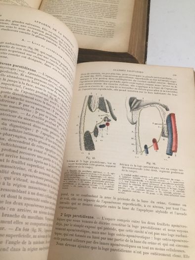 Човешка Анатомия том 2 и 3 ...1895 и 1897г. /Френски език/