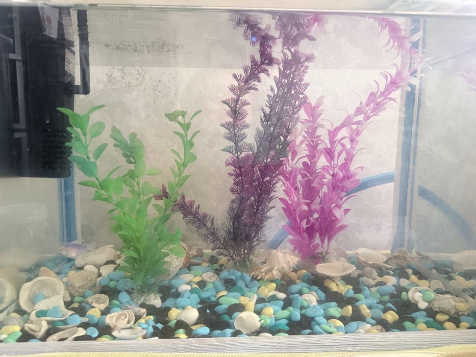 Продам Аквариум 50л