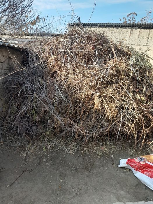 Утин сотилади. Тандирга.