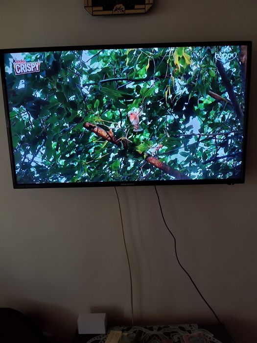 Televízor Mega Vision LED diagonala 105