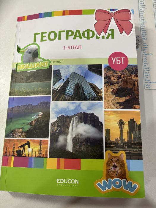 Книга Educon География