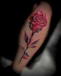 Студио за татуировки във Варна, tattoo, татуси, таттоо, тату, татуист