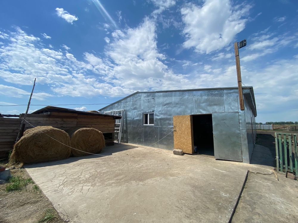Продам дом в селе Караозек (от Макинска 12 км)