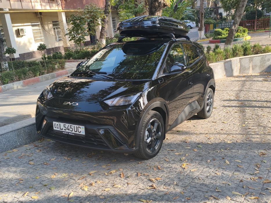 BYD seagull 2024
