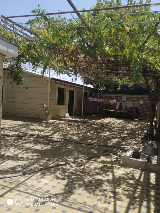 Сурхандарё.Термез.ш мехрибон махалла,бинафша куча 4дом2уй