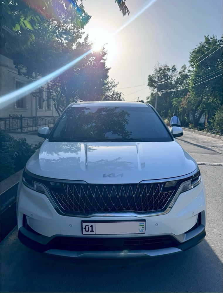 Kia Carnival.