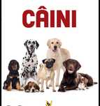 Plimb caini  sibiu
