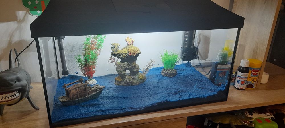 Acvariu cu accesorii pentru pesti