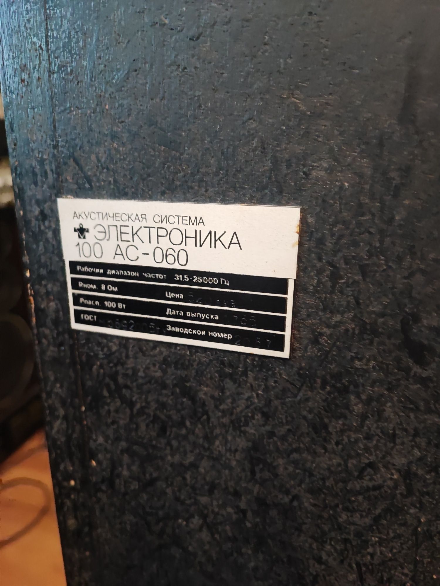 Электроника 100 АС 060