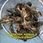 В наличии живые и вареные раки, клешни краба