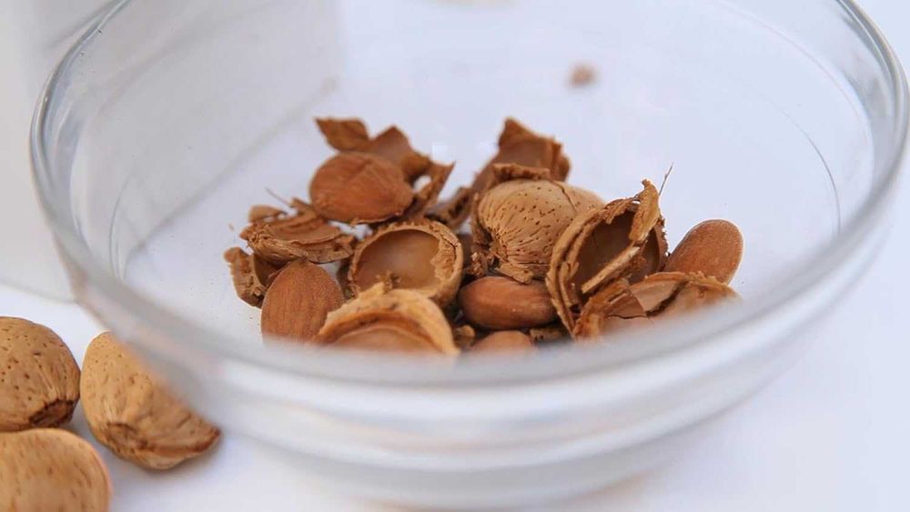 Pelamatic - Mașină electrică de curatat nuci și alune