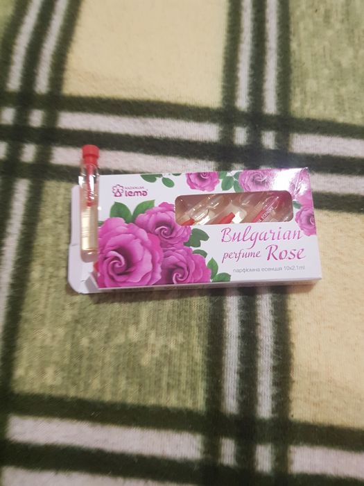 Aloe vera planta la ghiveci