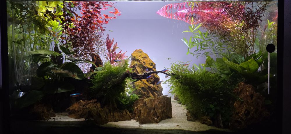 Aквариум AQUAL 83 L