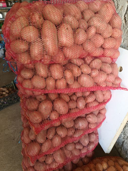 Cartofi albi și rosii