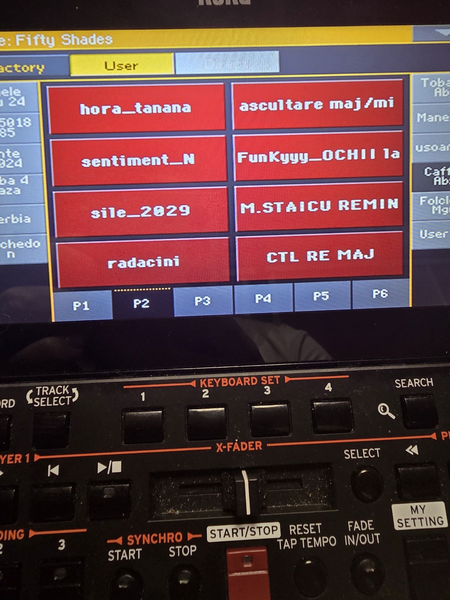 Set Korg korg Pa4x/Pa1000/Pa700/Pa3x/Pa2 Manual Automat introduceri 20