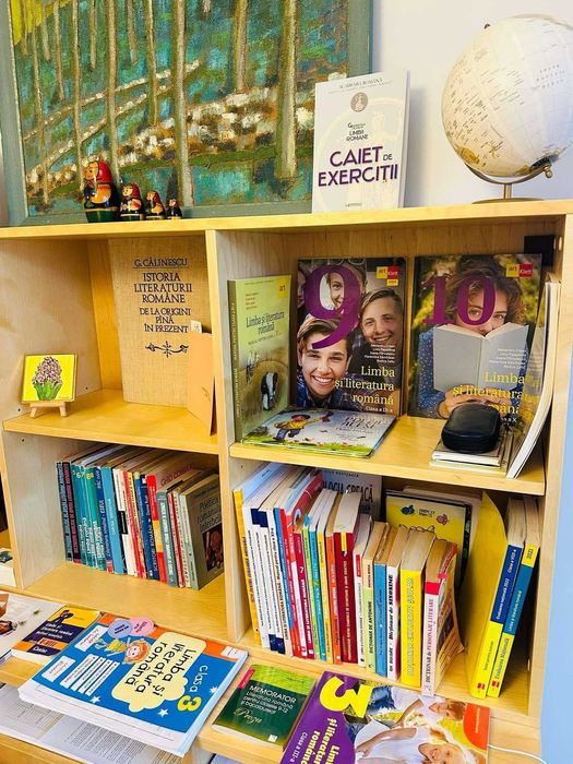 Meditații și ajutor la teme pentru Limba și literatura română