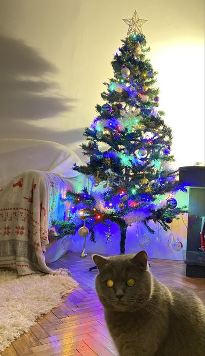 Brad de Craciun artificial 180cm