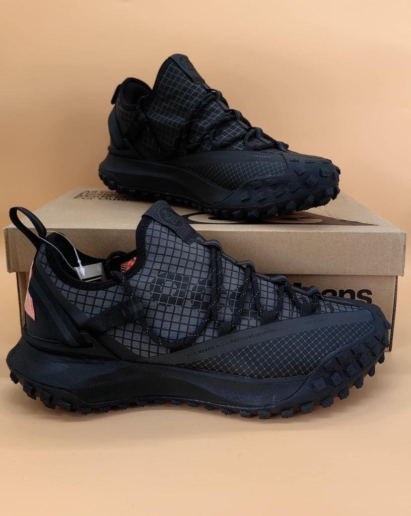 Nike ACG Mountain FLY Low