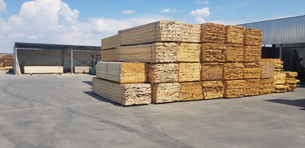 Cherestea(scanura)Molid si Brad