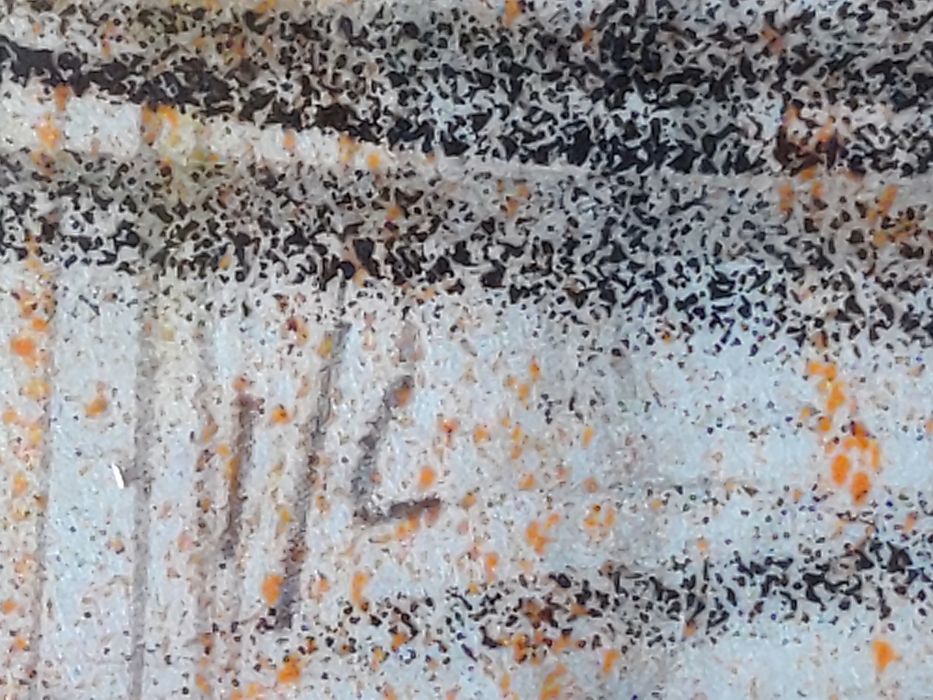 SALVADOR DALI  "Fire ! Fire ! Fire !" ,  I/L ,  1971  , litografie