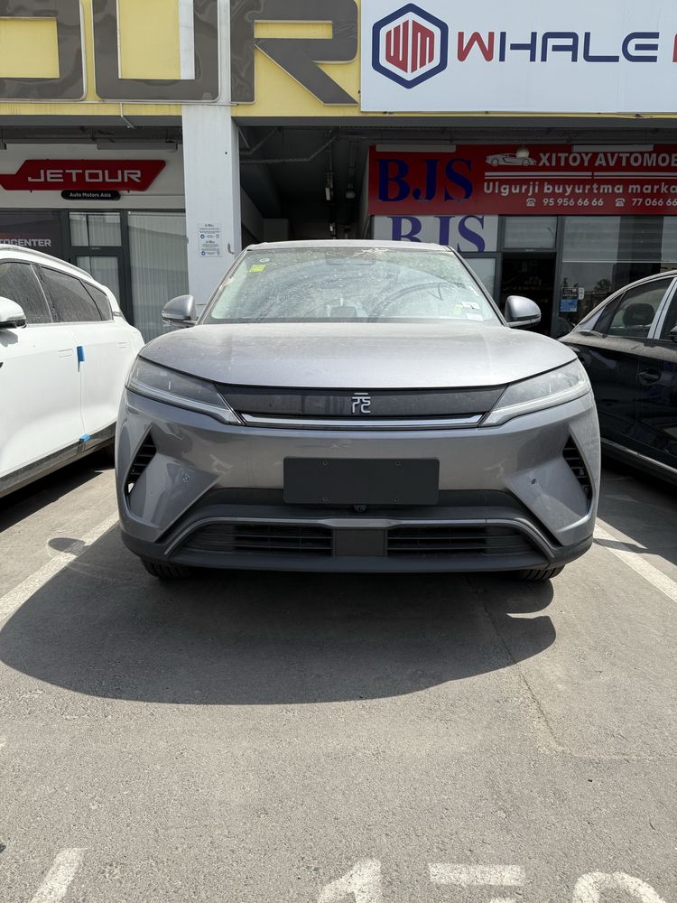 Byd yuanup smart