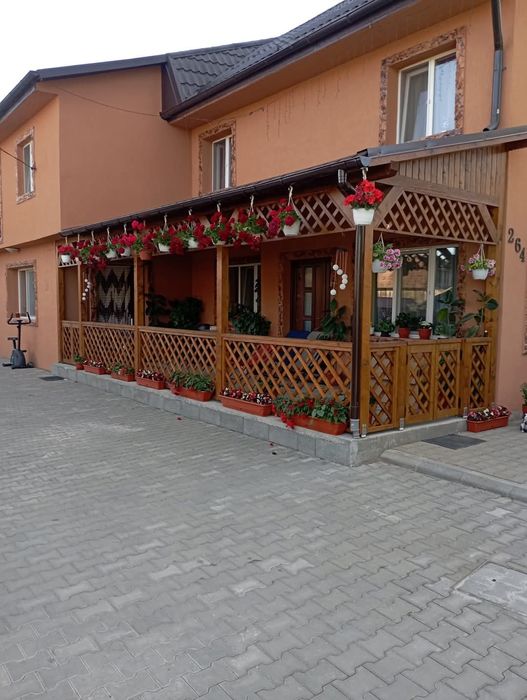 Terase/ garaje din lemn