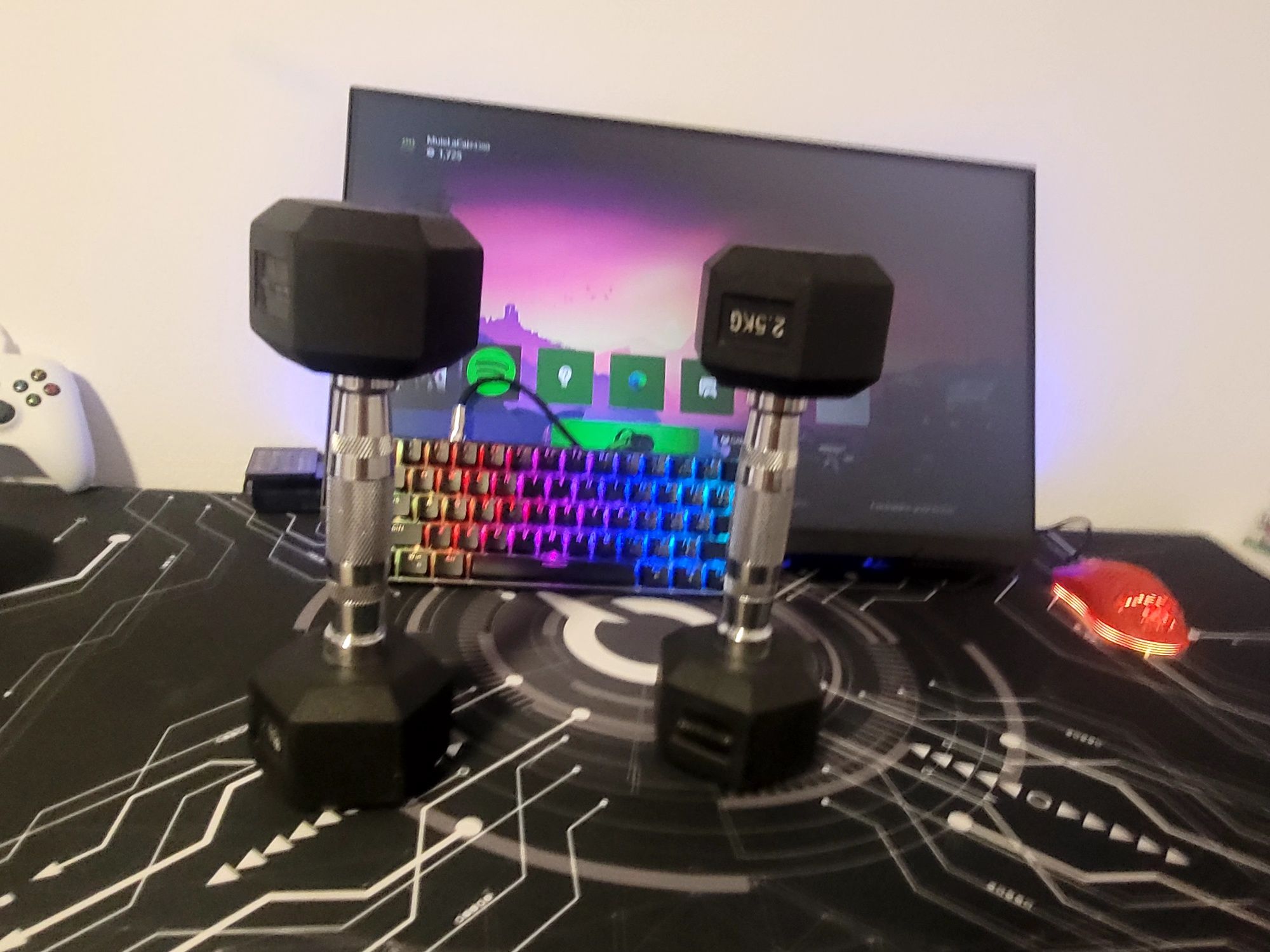 Gantere fitness 2.5 kg