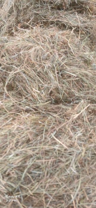 Baloți de otava de vânzare