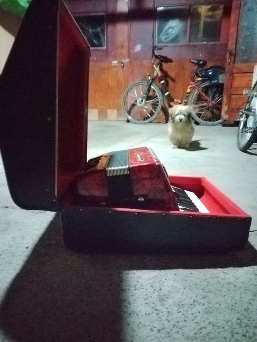 Vând acordeon weltmeister