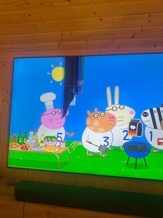 Tv samsung Neo qled qn95b 75 inch pentru piese