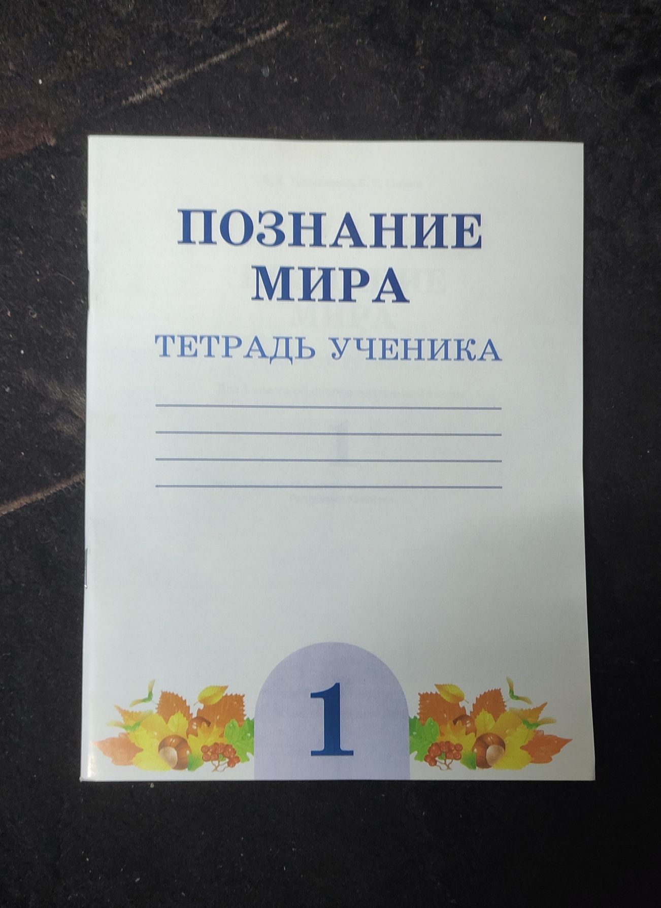 Тетради по познанию мира