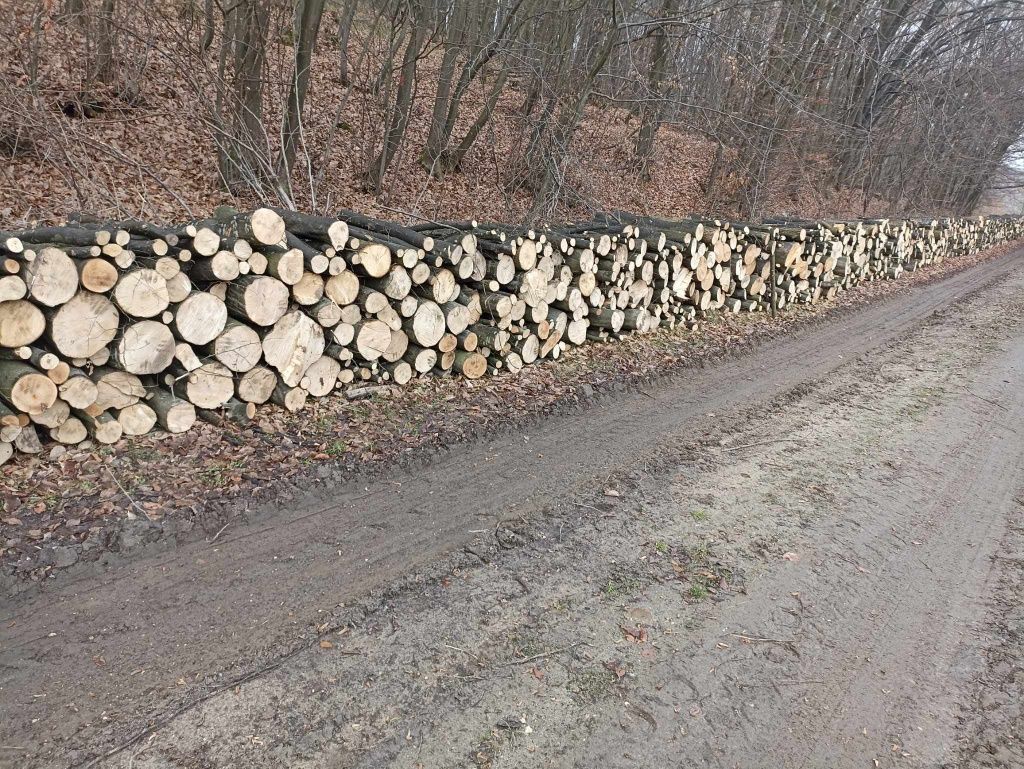 Vand lemne de foc Esenta tare Fag Carpen Stejar transport la domiciliu