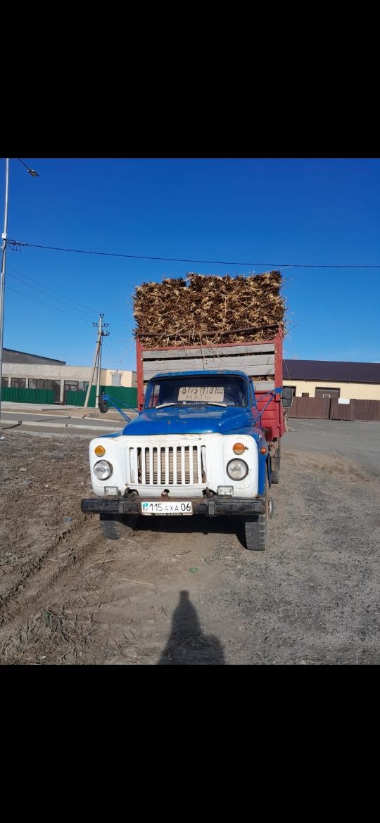Камыш Маты Атырау