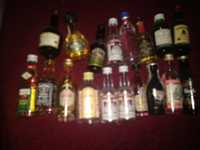 Колекция мини бутилки