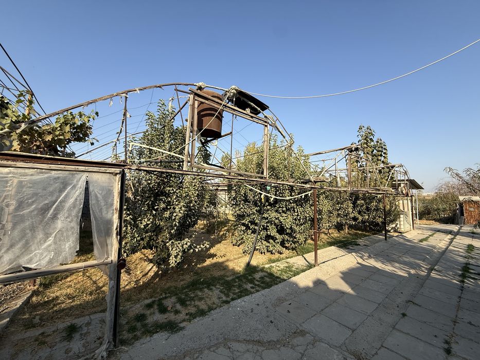 nazarbek toʻqimachi 8sotix