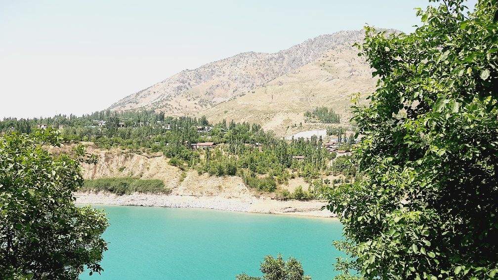 Dacha oila va ulfatlar uchun