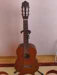 Chitara acustica Reghin