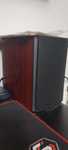 Boxe mordraund short