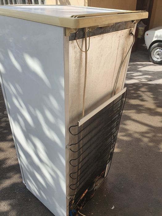 Muzlatkichlar avangatd
