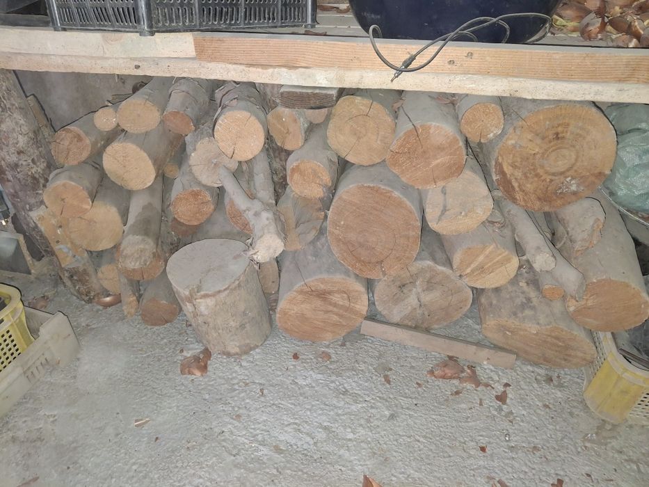 Otin sotladi xolati zor