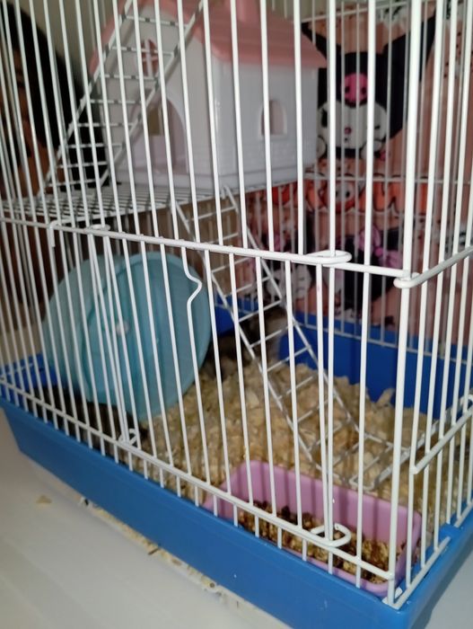 Хомяки с клеткой