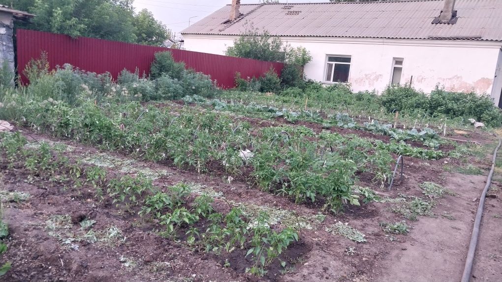 Большой, уютный дом в котором хочется жить